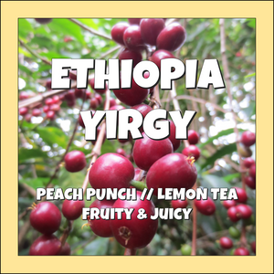 YIRGY // Ethiopia Single Origin