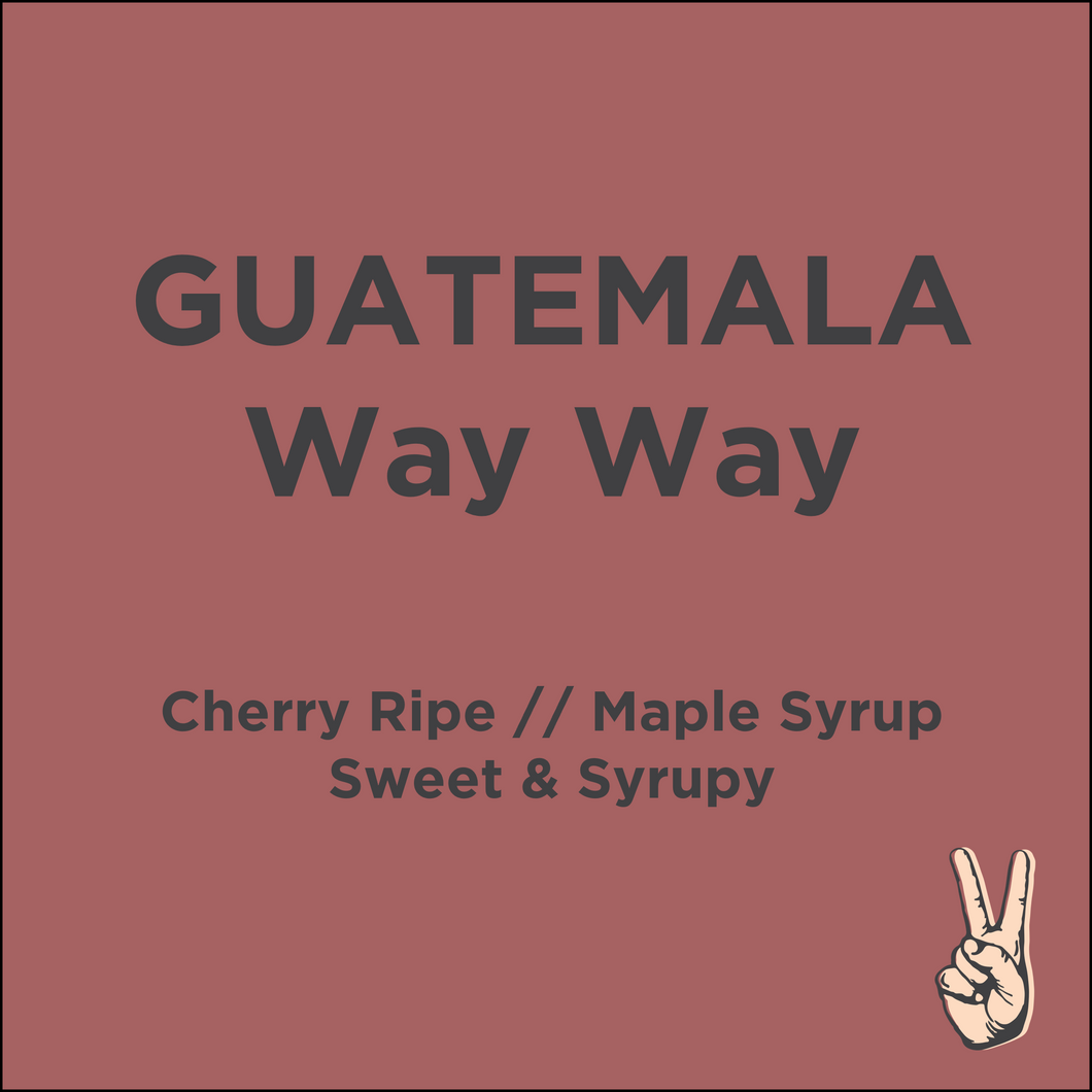 WAY WAY // Guatemala Single Origin